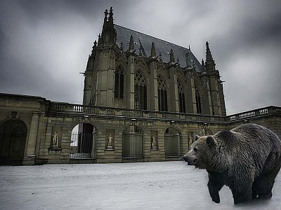 Le rêve de l'ours